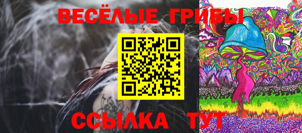 Галлюциногенные грибы Psilocybe Алушта
